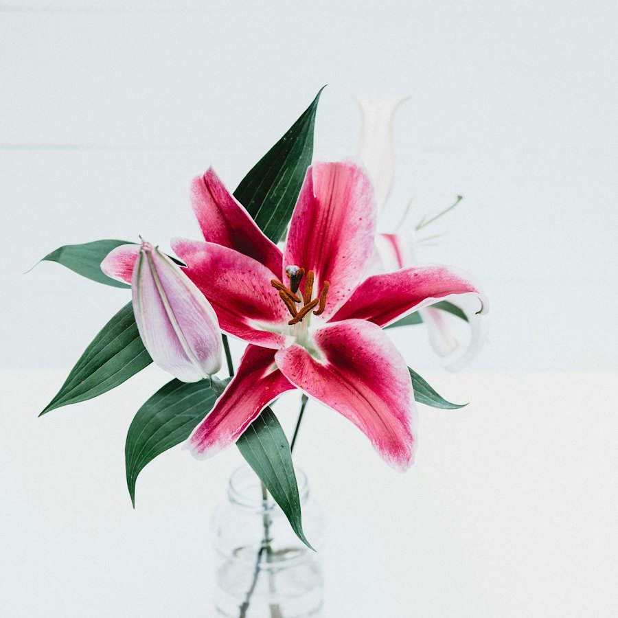 Condolence flowers, done gently